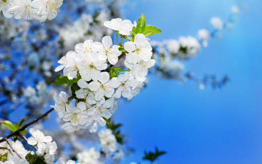 909237 (a): :2880x1800